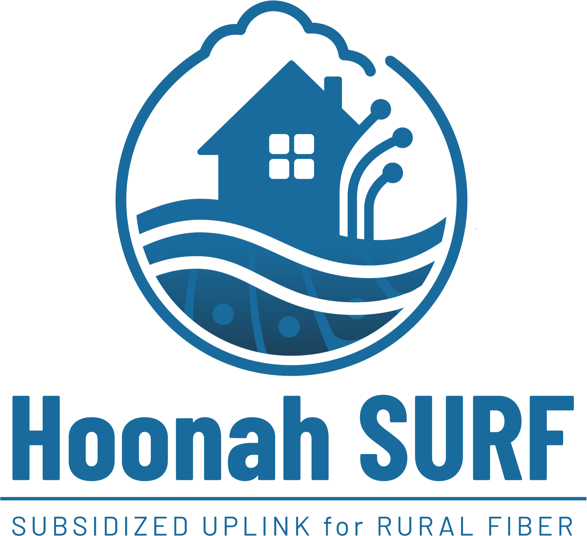 SURF - Subsidized Universal Rural Fiber